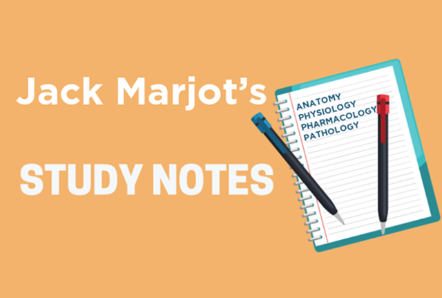 Jack Marjot's Study Notes