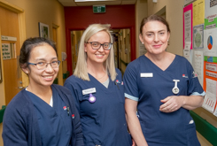 Practising Nurses and Midwives