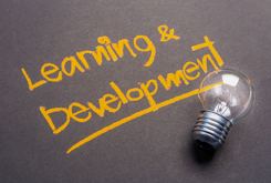 Learning and development opportunities 