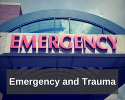 Emergency and Trauma Stream
